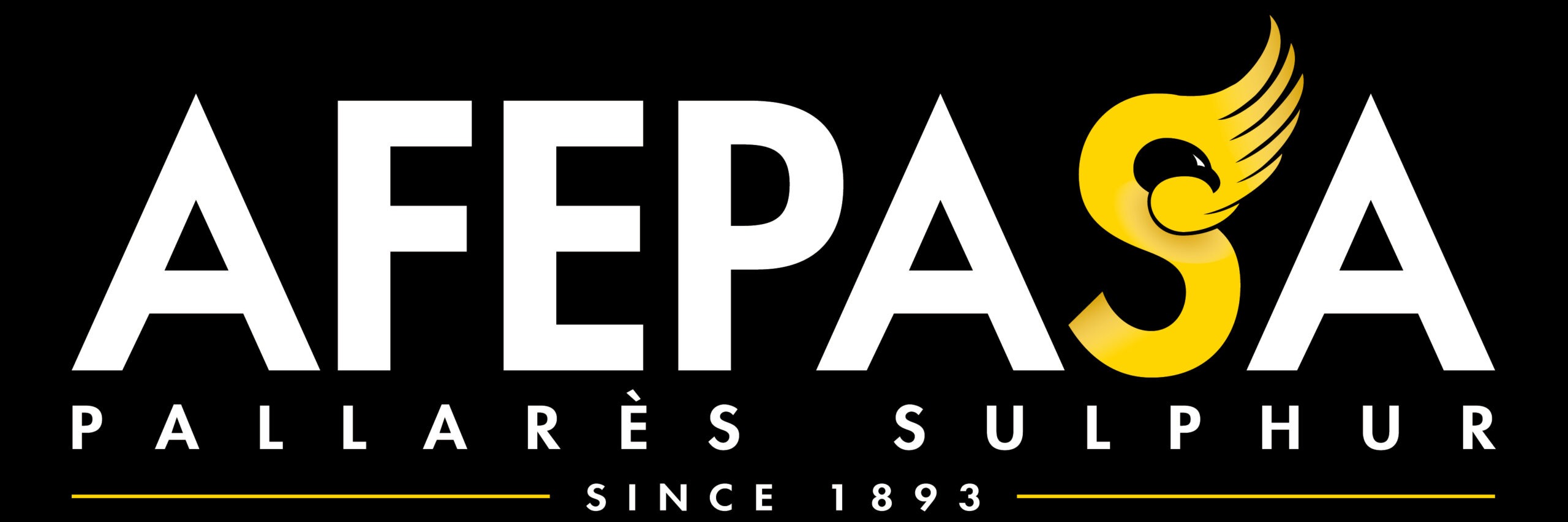 Afepasa_logo_fonsnegre-01-1